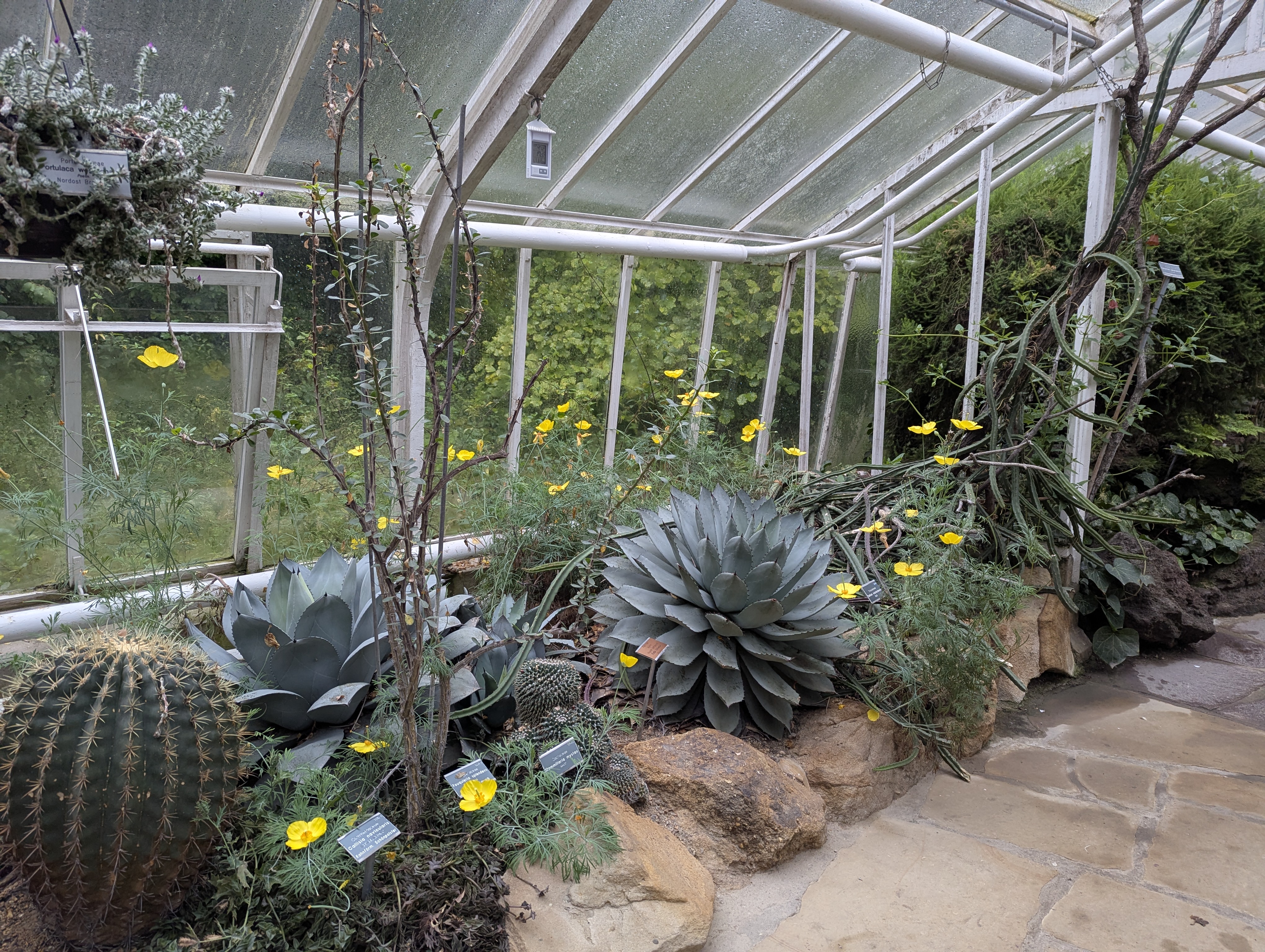 Botonic Gardens, Muenster, Germany